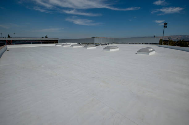 Best Green or Eco-Friendly Roofing Solutions  in Muldraugh, KY